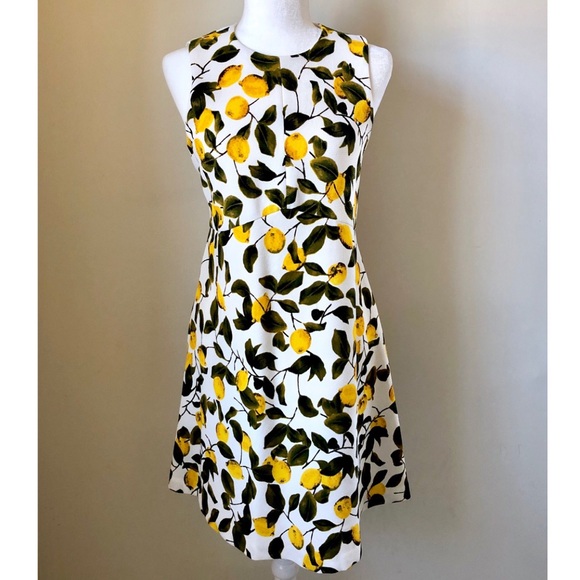 zara lemon print dress